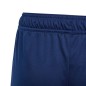 Adidas Tiro 24 Jr shorts IR9369