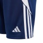 Adidas Tiro 24 Jr shorts IR9369