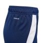 Adidas Tiro 24 Jr shorts IR9369