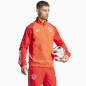 Adidas FC Bayern Pre Jacket M IN6314