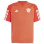 Maglietta da allenamento Adidas FC Bayern JSY Jr IQ0613