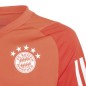 Adidas FC Bayern Training JSY Jr T-shirt IQ0613