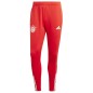 adidas FC Bayern Mutande da allenamento M IQ0605