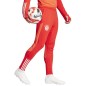 adidas FC Bayern Training Panty M IQ0605