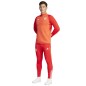 adidas FC Bayern Training Panty M IQ0605