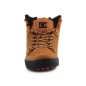 DC Shoes Pure High-Top Wc Wnt M ADYS400047-WEA shoes