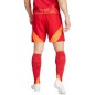 Adidas Tiro 24 Competition Training M shorts IK2245