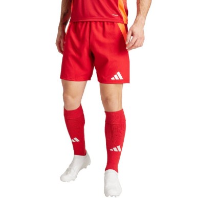 Adidas Tiro 24 Competition Training M shorts IK2245