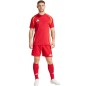 Adidas Tiro 24 Competition Training M shorts IK2245