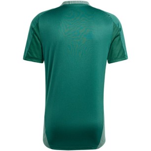 Adidas Tiro 24 Competition Training M IS1655 T-shirt