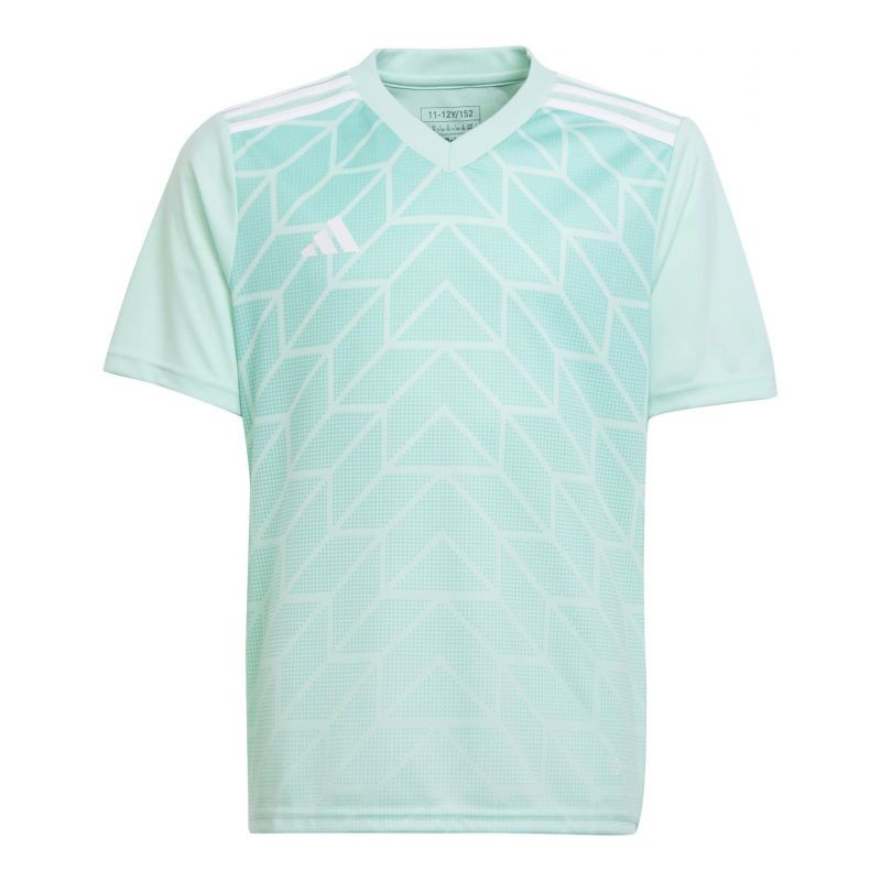 Adidas Team Icon 23 Jr T-shirt IC1255