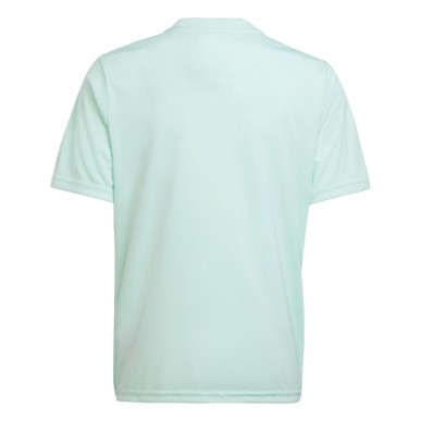 Adidas Team Icon 23 Jr T-shirt IC1255