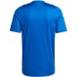 Maglia Adidas Tiro 24 M IS1014