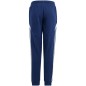 Adidas Tiro 24 Sweat Jr IS1008 pants