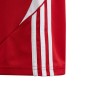 Adidas Tiro 24 Jr shorts IR9367