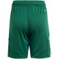 Adidas Tiro 24 Jr IT2409 shorts