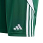 Adidas Tiro 24 Jr IT2409 shorts