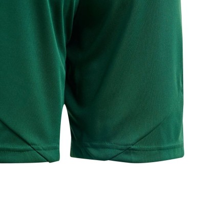 Adidas Tiro 24 Jr IT2409 shorts