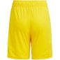 Adidas Tiro 24 Jr IT2410 shorts