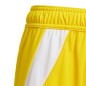 Adidas Tiro 24 Jr IT2410 shorts