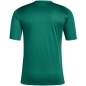 Maglia Adidas Action 24 M IS1017