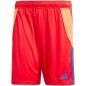 Pantaloncini Adidas Tiro 24 M IT2416