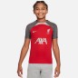 Maglietta Nike Liverpool FC Strike SS Top Jr FD7088-688