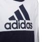 Adidas Colorblock Fleece Jr HC5659 sweatshirt