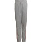 Adidas 3-Stripes Tapered Leg Jr HD4362 pants