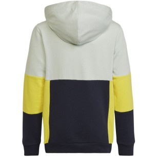 Adidas Colourblock Hoodie Jr HN8567 sweatshirt