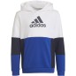 Felpa con cappuccio Adidas Colourblock Hoodie Jr HG6826