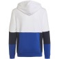 Adidas Colourblock Hoodie Jr HG6826 sweatshirt