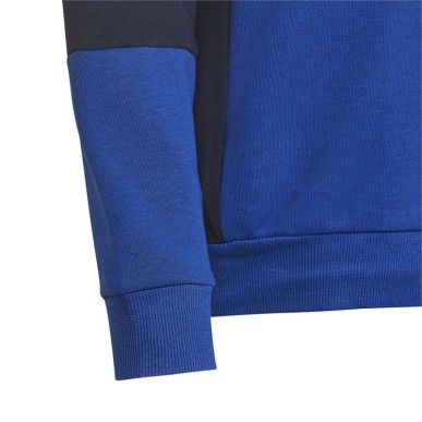 Felpa con cappuccio Adidas Colourblock Hoodie Jr HG6826