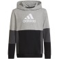 Felpa con cappuccio Adidas Colourblock Jr HN8563