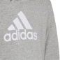 Adidas Colourblock Hoodie Jr HN8563 sweatshirt