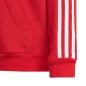 Adidas Tiro 23 League Sweat Hoodie Jr HS3607