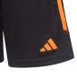 Adidas Tiro 23 Club Training Jr shorts HZ0188