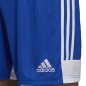 Shorts adidas Tastigo 19 Shorts Jr DP3682