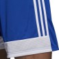 Pantaloncini adidas Tastigo 19 Pantaloncini Jr DP3682