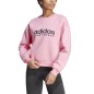 Felpa con cappuccio grafica Adidas All Szn Fleece IC8716