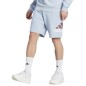 Adidas Essentials Big Logo French Terry M shorts IJ8563