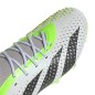 Adidas Predator Accuracy.1 L FG M GZ0032 football shoes