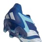 Scarpe da calcio Adidas Predator Accuracy.1 Low AG M IE9453