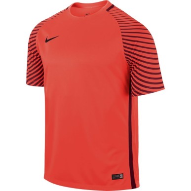 Maglia da portiere Nike Gardien M 725889-671