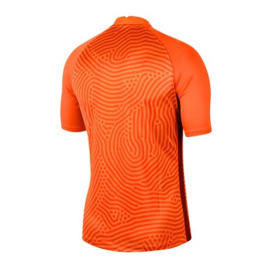 Goalkeeper jersey Nike Gardien III GK M BV6714-803