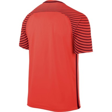 Maglia da portiere Nike Gardien M 725889-671