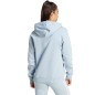 Felpa con cappuccio adidas Essentials Big Logo Regular Fleece W IR9329