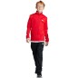 Tuta da allenamento adidas Essentials Big Logo Jr IJ6305