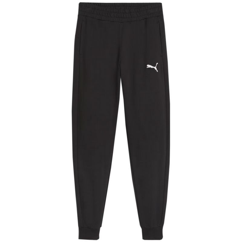 Puma Team Goal Jr pants 658601 03