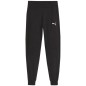 Pantaloni Puma Team Goal Jr 658601 03